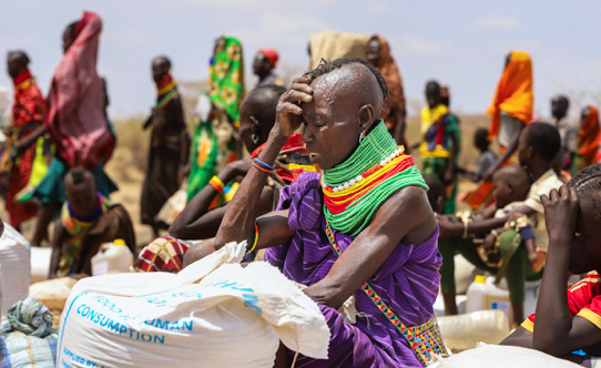 Drought conditions have left over 2 million people facing hunger in parts of Kenya, with cattle-keeping communities hardest hit, an echo of what happened between 2020 and 2023, when millions of animals died in the region that extends from Kenya into parts of Ethiopia and Somalia.