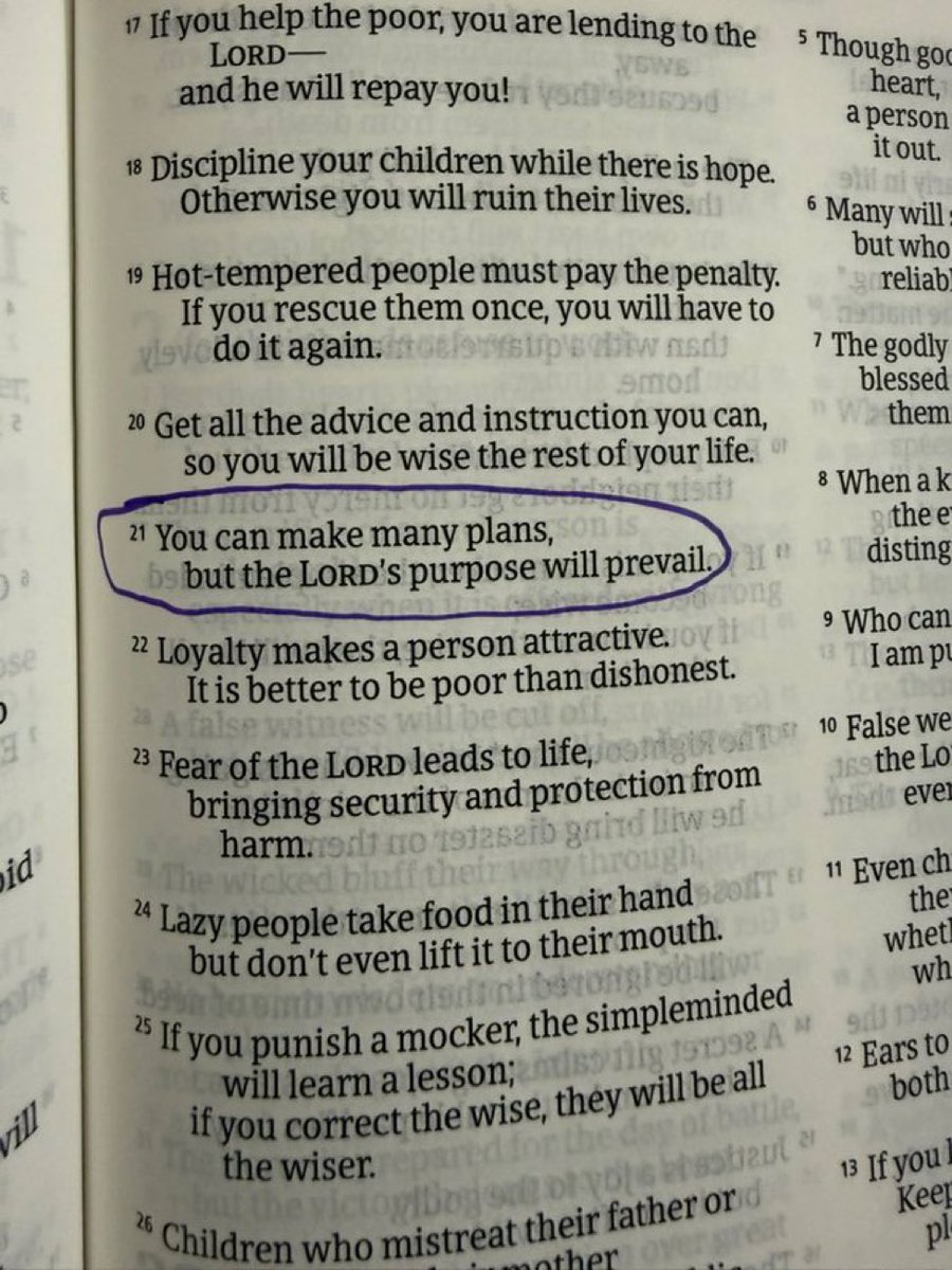 Bible 365 tweet media