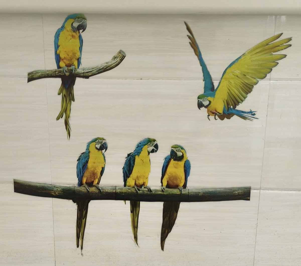 🦜NIAO币第四季空投来袭 

（参与人数每达100人，随机抽10人空投，每份赠5亿 $NIAO 币，如果猜对答案在奖励5亿鸟币）

📷 任务超简单：关注+点赞+转发 +留言猜猜这图片是我在那拍摄的！
1、医院
2、家里
3、学习
4、公司
5、路边

🎉 幸运的伙伴将有机会领取5+5共计10亿鸟币 🦜

蓝V回关 🤝