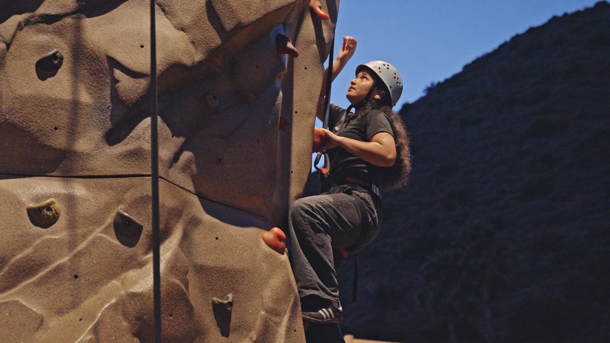 Catalina Island Marine Institute tweet media