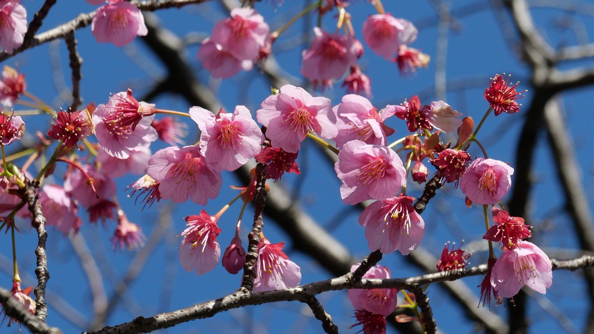 昨日タムラ企画に来てくれた友人のJUNTERAさんがパナソニックの