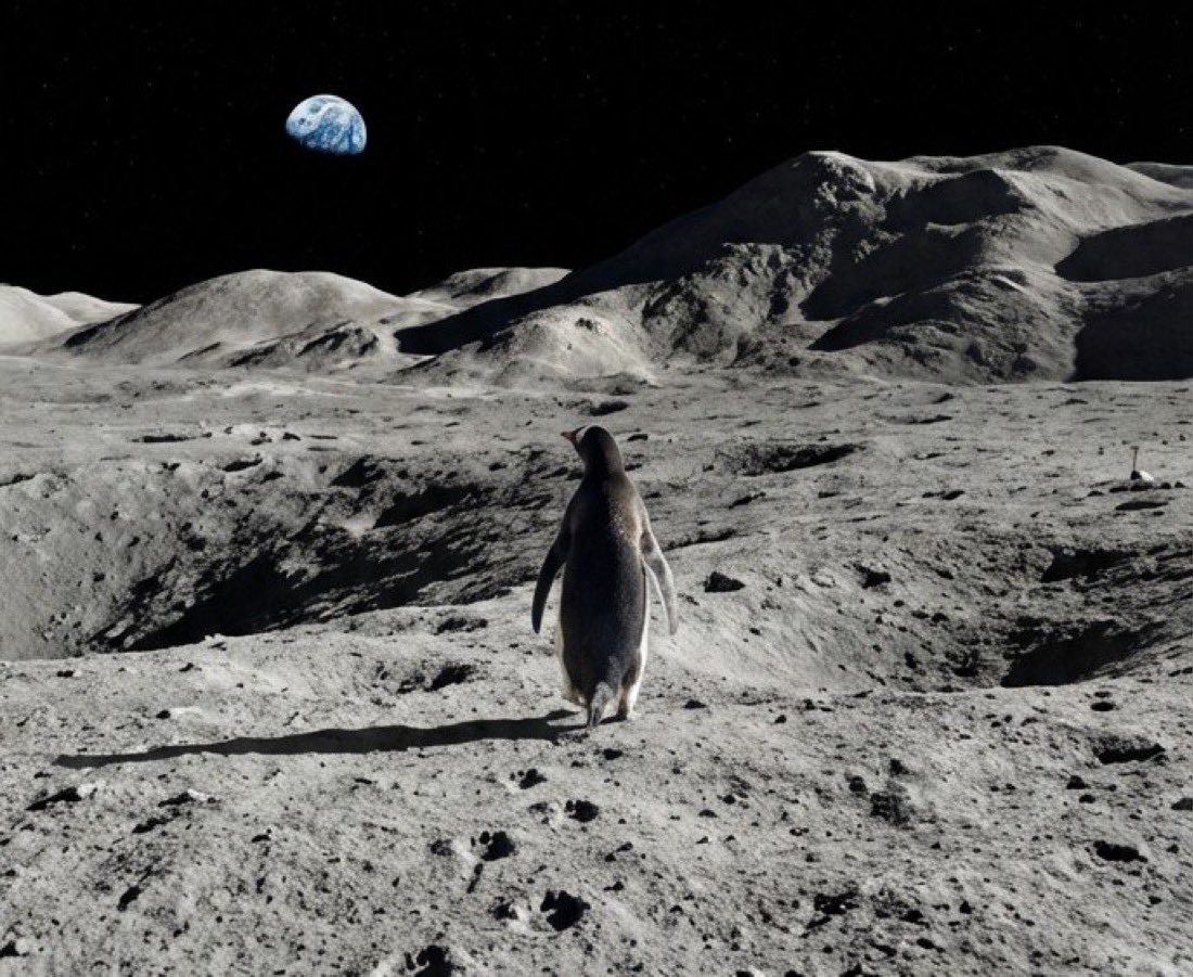 $MoonPeng Meme Contest

Submit your best memes under this post.

1st Prize: $300
2nd Prize: $200
3rd Prize: $100