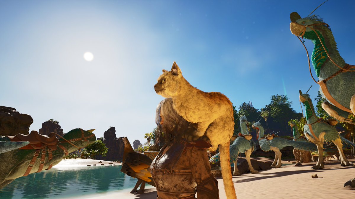 ﾆｬﾝ〜〜！！！！！！🐱🐱🐱🐱🐱🐱🐱