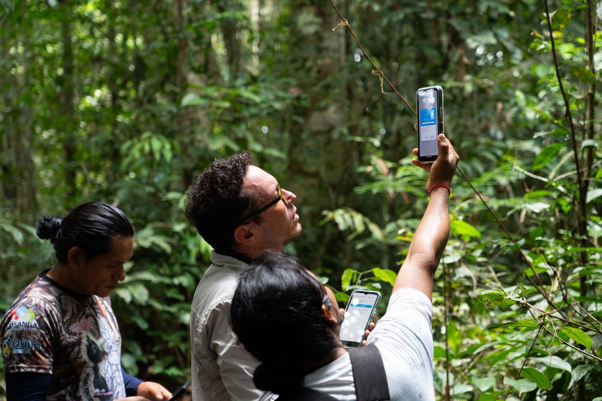 Amazon Sacred Headwaters Alliance tweet media