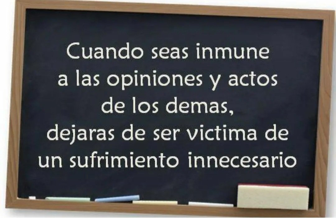 PilarHaces tweet media