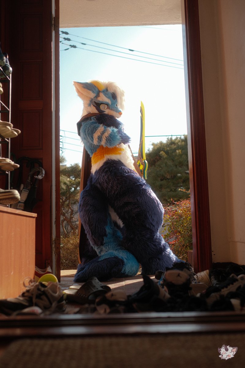 NyongShin's tweet photo. πλ§μ λ΄κ° λ³΄κ³ μμ ν
λ μμμ νΈν μ¬κ³ μμ΄π€
#FursuitEveryday #Fursuit #Haeil
πΈ: @YN971106 https://t.co/edCx7RCgnz