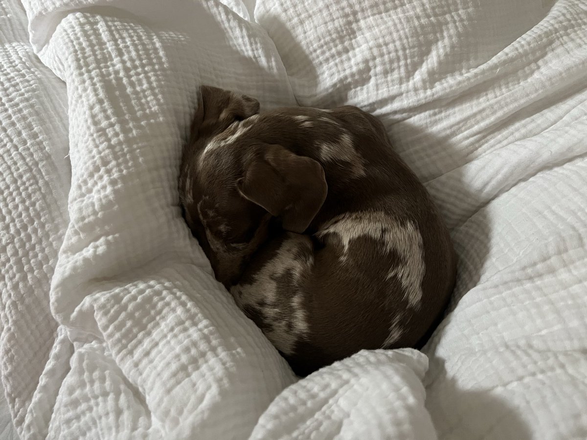 i love me a cinnamon roll