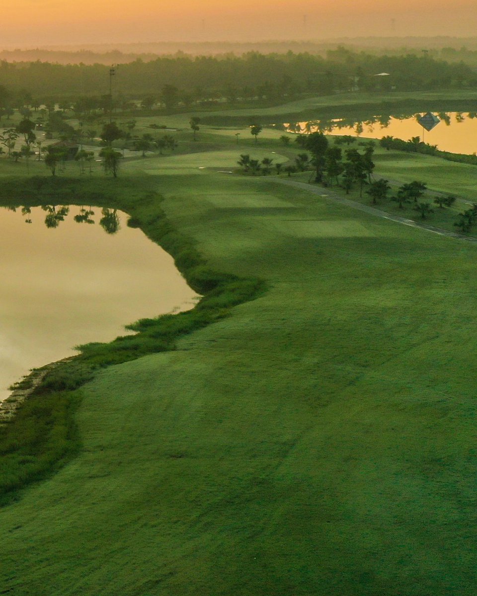 Faldo Design tweet media