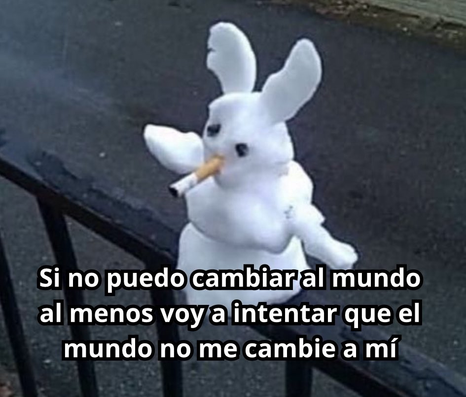conoloracigarro's tweet photo. https://t.co/efVC0Q1cuy
