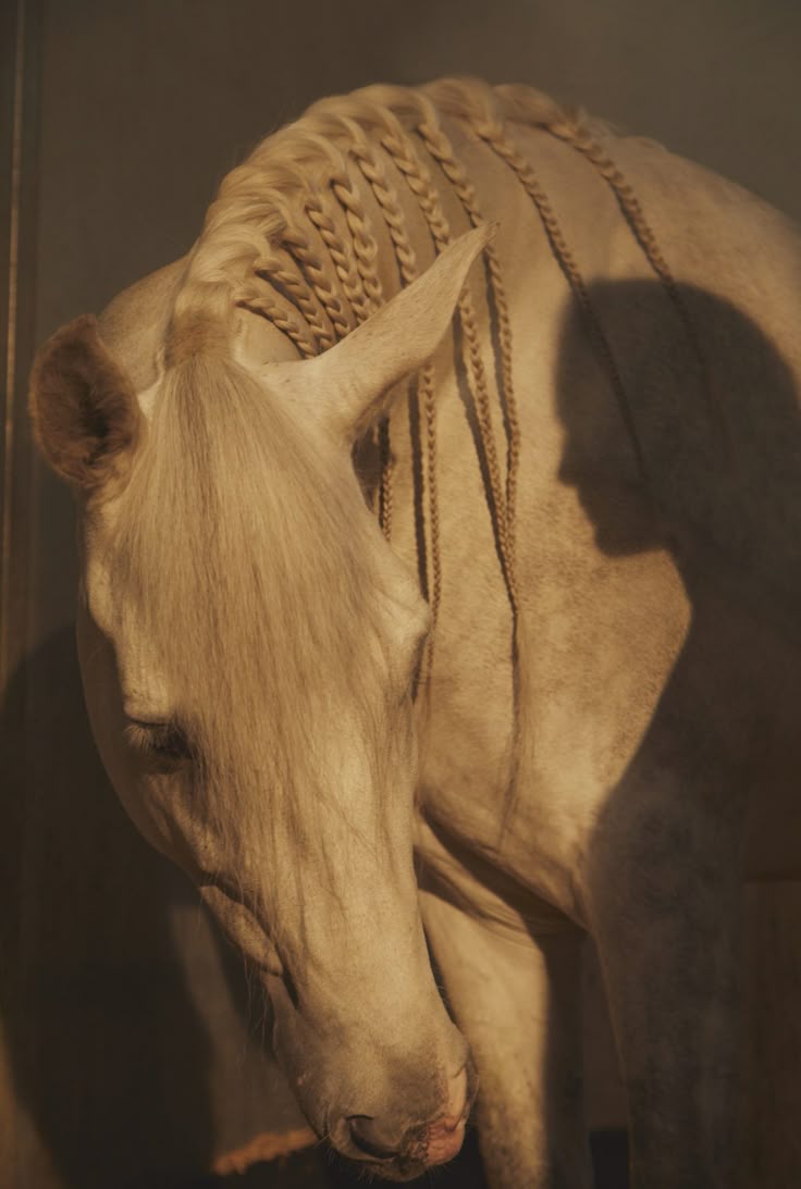 İyi olmaktan değil, herkese iyi olmaktan vazgeçtim...