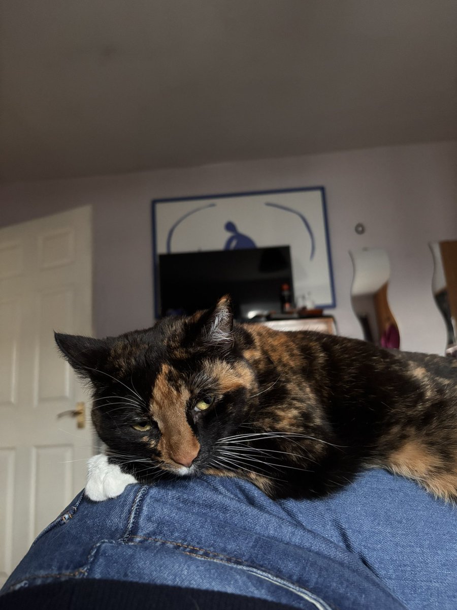 Stephanie Addington (she/her) tweet media