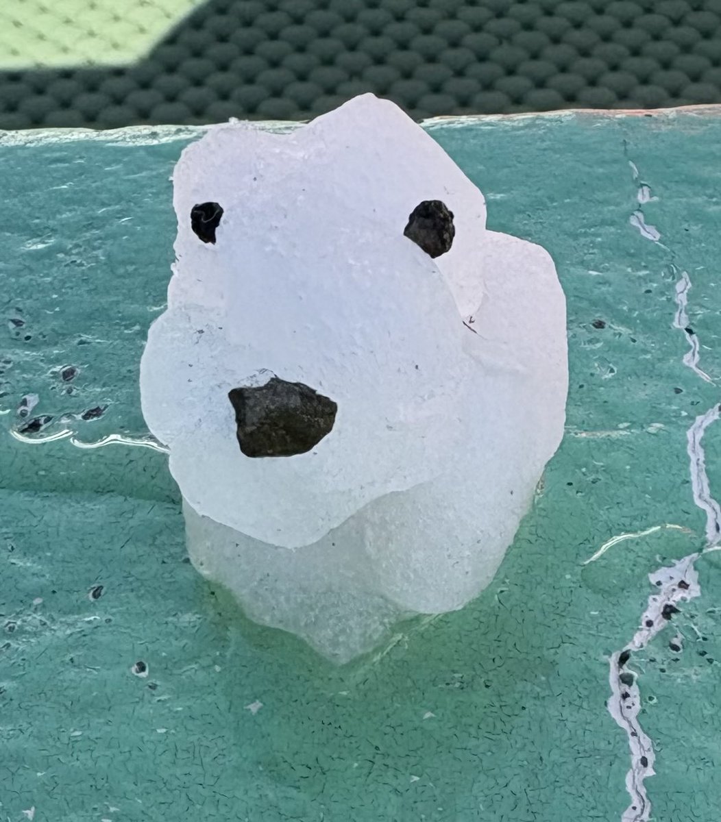 職場の日陰にあった雪❄️で作ってみた⛄️
真ん中は子どもが帽子つけ加える🤭
3枚目は
子どもが作ったものが
またまた
🐶になった🤗