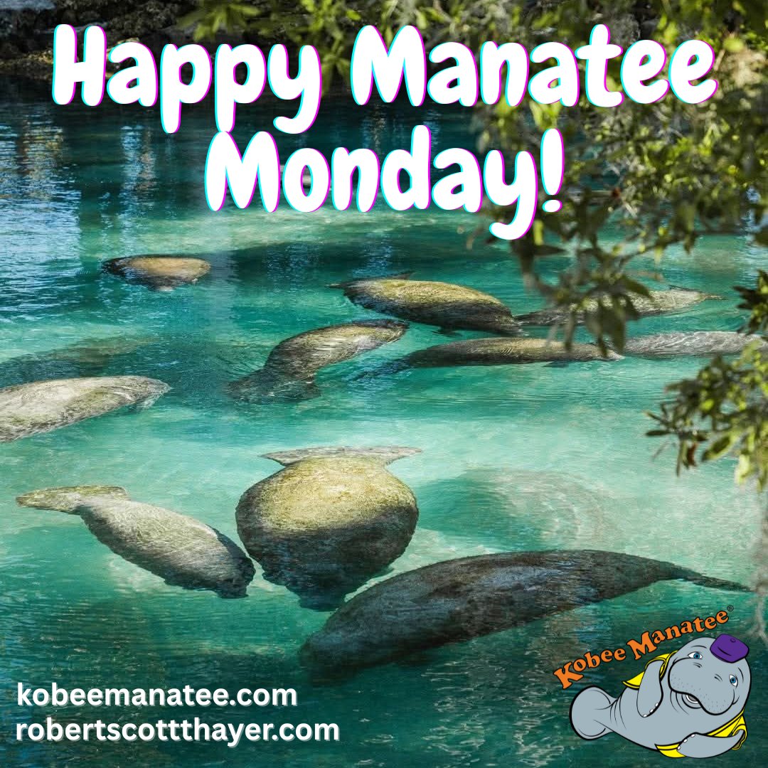 Kobee Manatee® tweet media