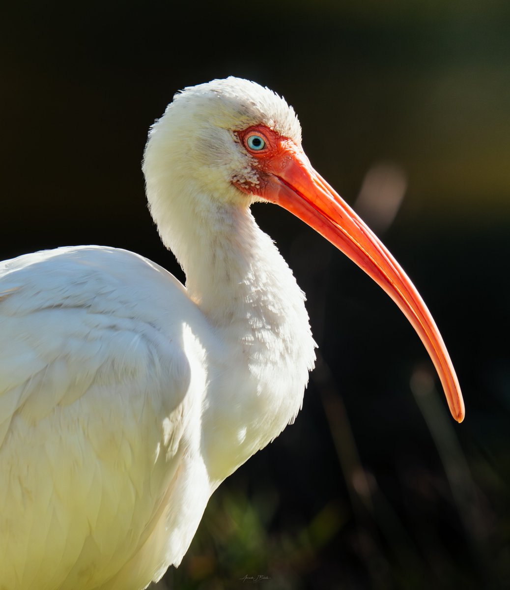 XANDER GEOGRAPHIC 🏕️ tweet media