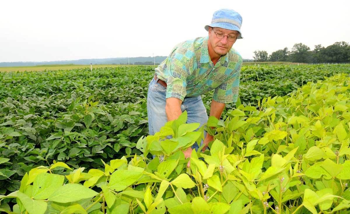 Plant Registrations tweet media