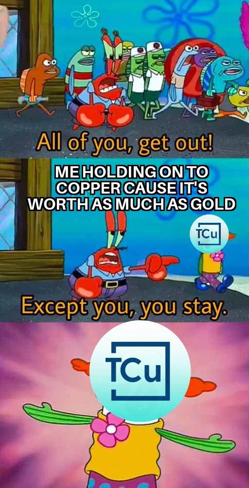 KayodeAded19174's tweet photo. Bullish on $TCu29 copper > gold/stocks! Holding strong 🦀🔥 @TCu29Official #CopperStandard https://t.co/zQ0md0IY77