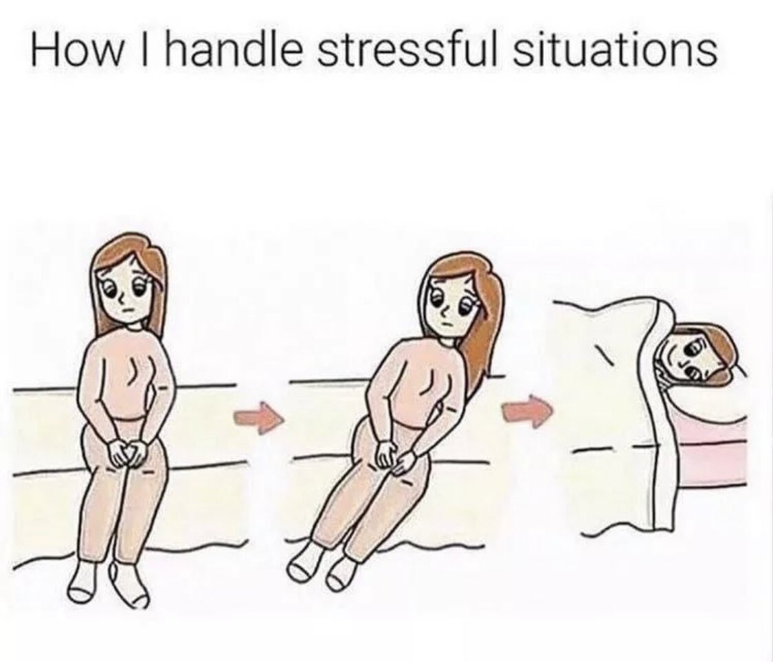 eliza___v's tweet photo. Accurate https://t.co/3VVO3rPINY