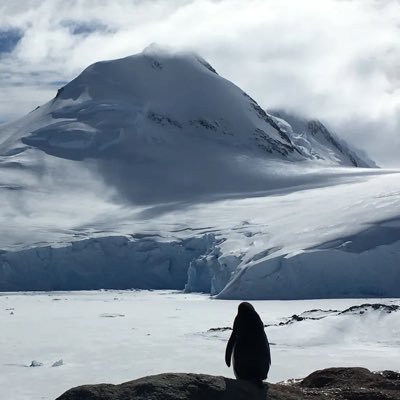 EscanorAkd's tweet image. "it's mutual" 

Meanwhile Tenz pfp