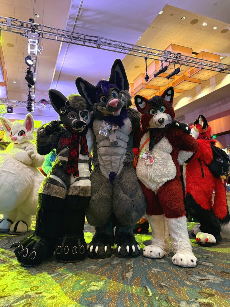 Purrfessor Zuka the Firefox. Jake P Loss🥊 (@Zukathefox) / Posts / X