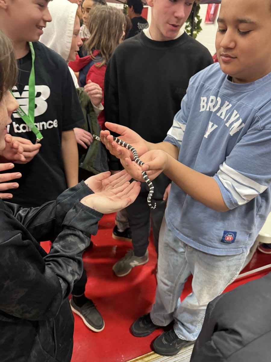 Explore Pathways at Highland tweet media