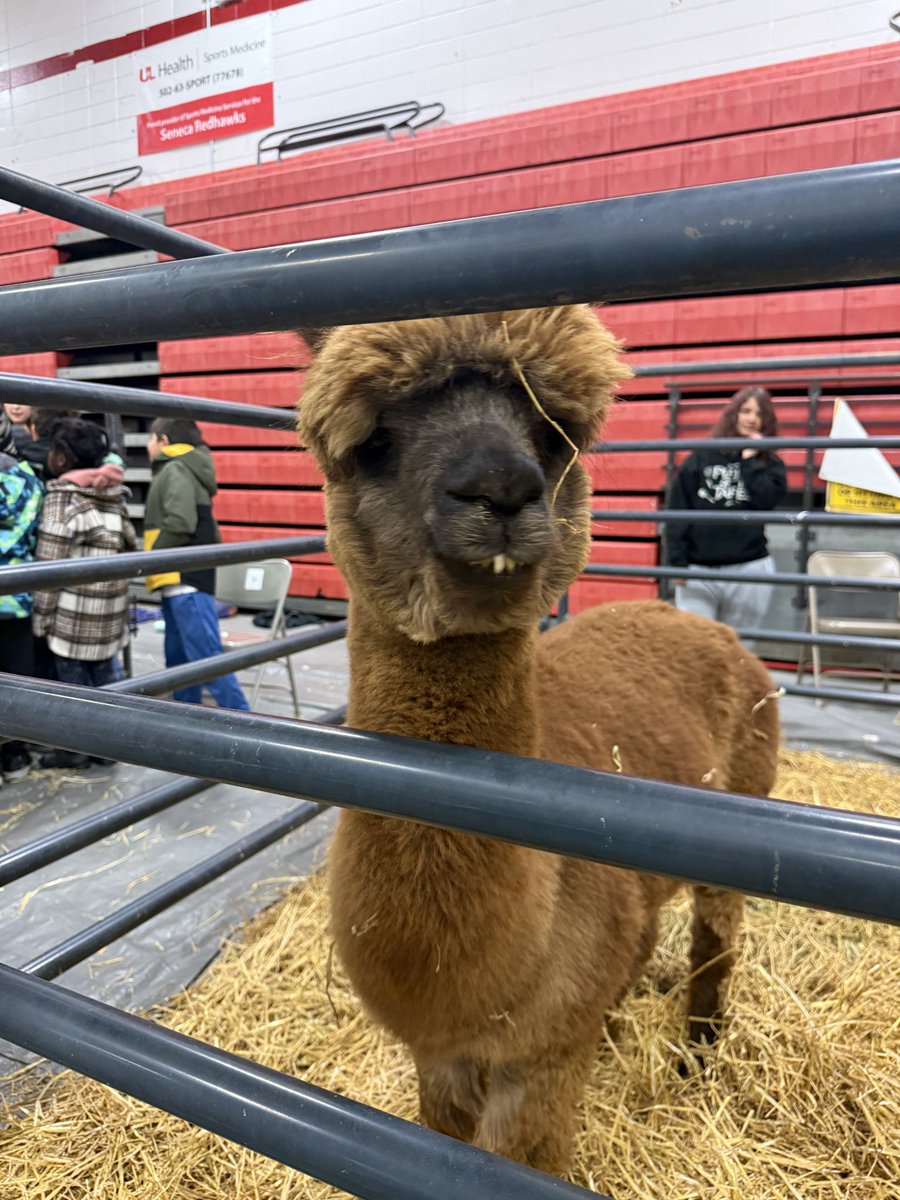 Explore Pathways at Highland tweet media