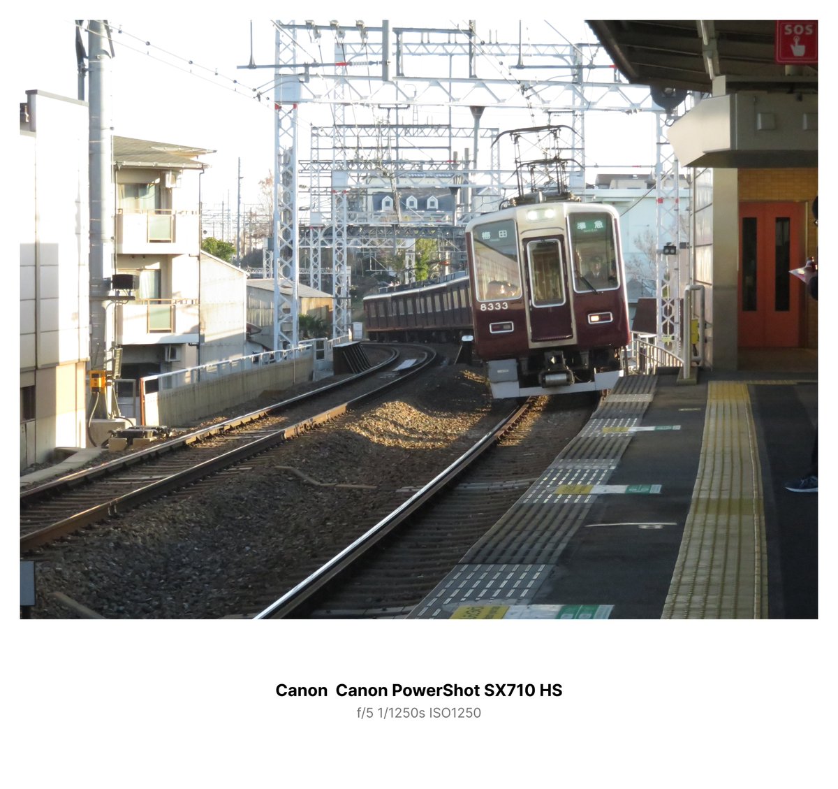 ←7年前コンデジで撮ったやつ 今日、ミラーレス一眼で撮ったやつ