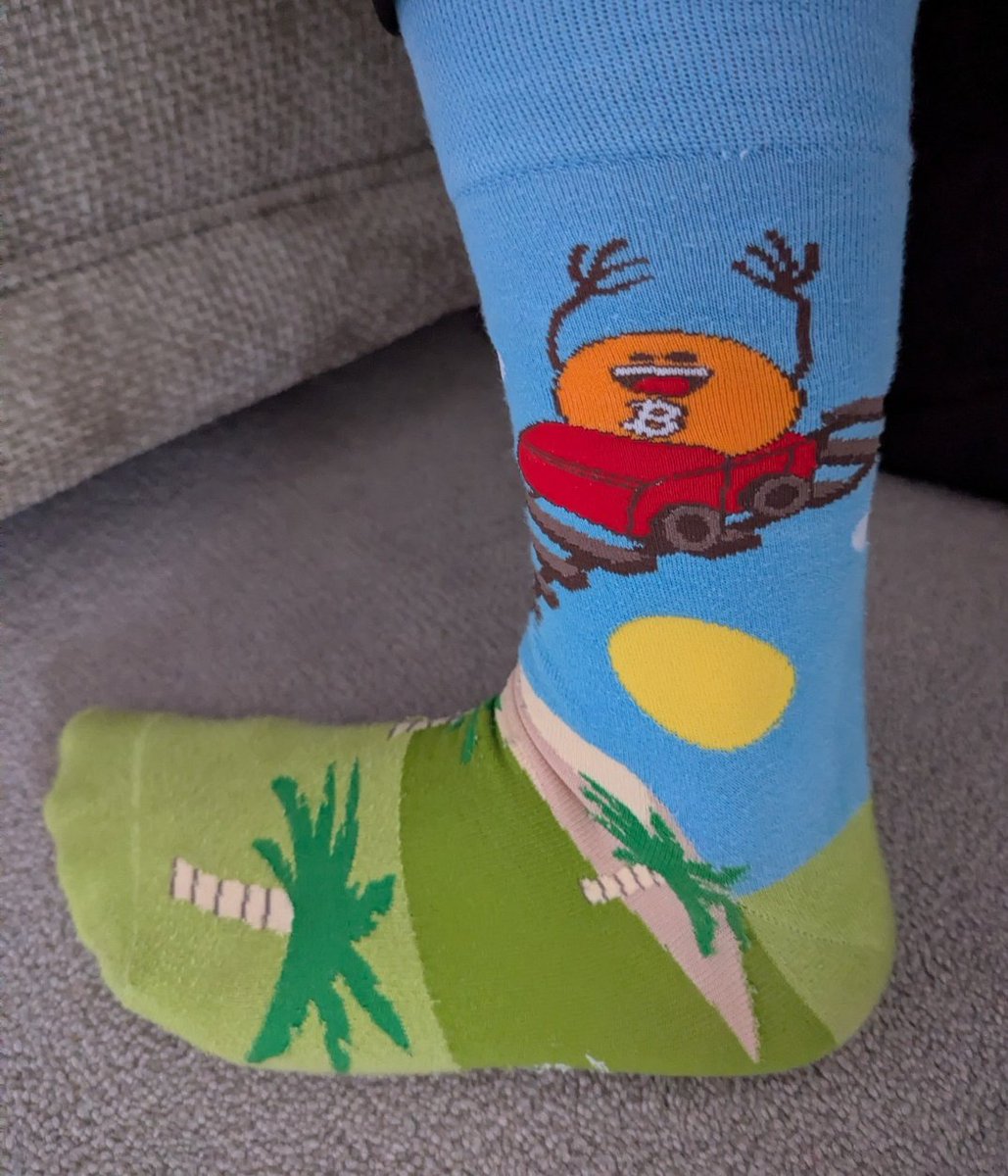 Danny Scott ⚡ tweet media