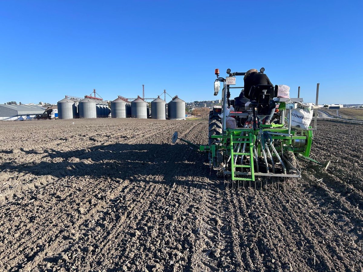 Climsostrigo tweet media