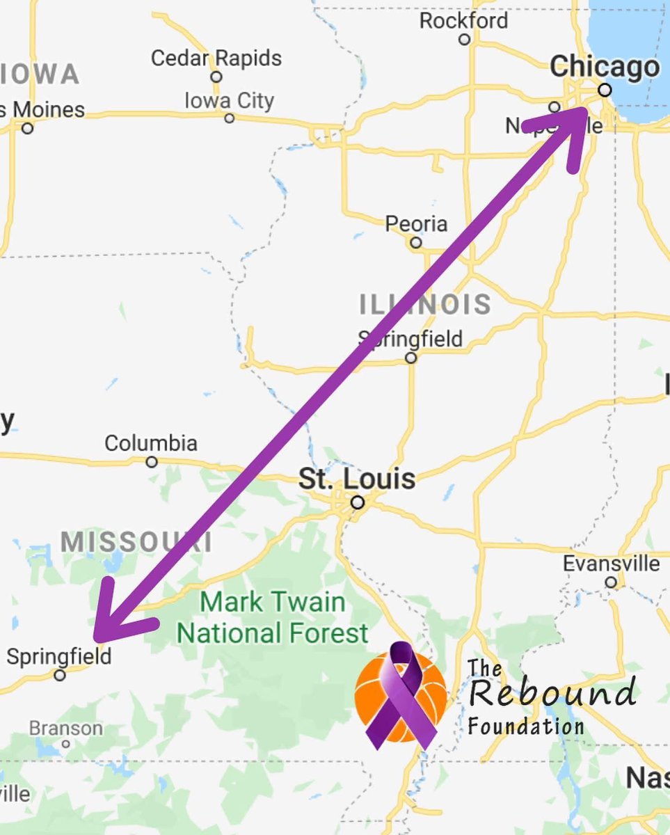 Rebound Foundation tweet media