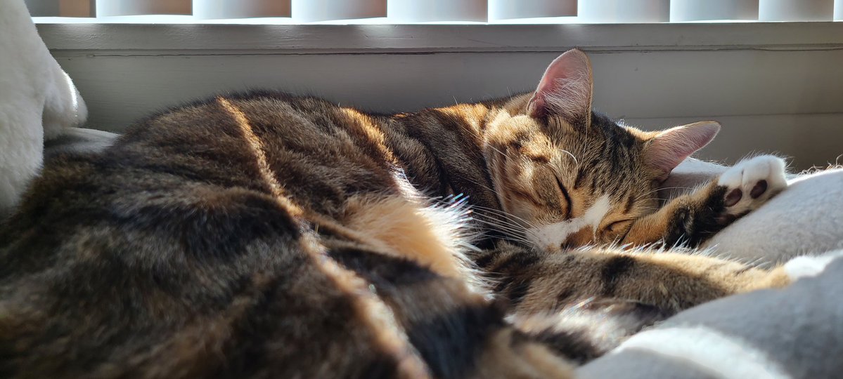 Cozy on a Monday morning 😌