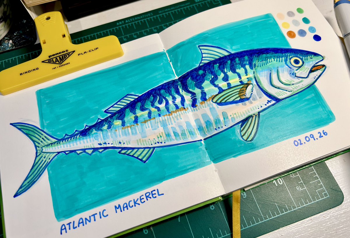 hhaelines's tweet photo. fish february day 9: atlantic mackerel
my favorite fish!! 🐟 https://t.co/6H6UkvZbIA