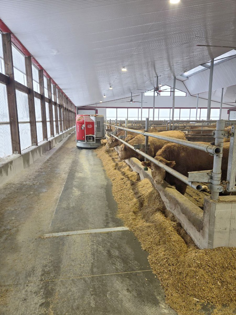 GRRobotics's tweet photo. Our first #Beef farm running with a #LelyVector!
This setup has 2 stationary TMR mixers that mix the initial feed ration. The Lely Vector delivers the feed to the 900 beef cattle when needed. This will eventually mix a sweetener in for the cows that need it at a later date. https://t.co/Syyl4m2YXA