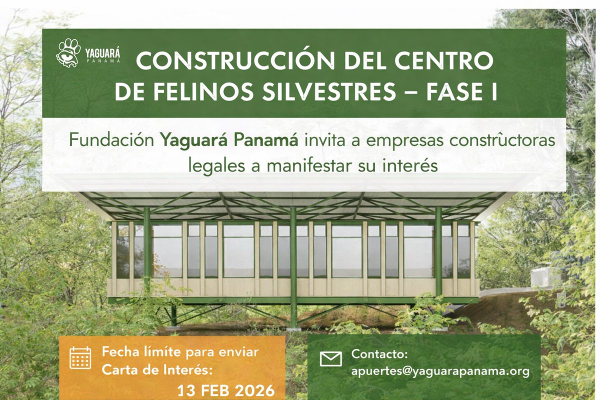 yaguarapanama's tweet photo. 🐆 Construcción del Centro de Felinos Silvestres – Fase I

@yaguarapanama invita a empresas constructoras a manifestar su interés 

📅 Carta de Interés hasta el 13 febrero 2026
📩 apuertes@yaguarapanama.org

https://t.co/mlIRTg0O4C https://t.co/J4jnTOeMmV