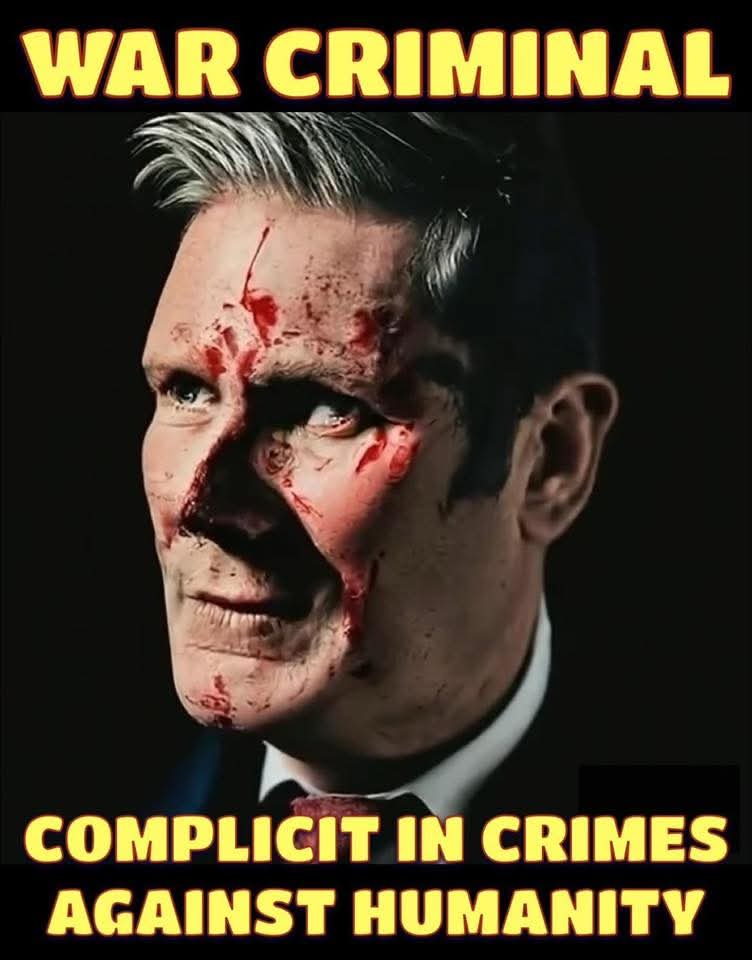 Doug Martin 💜🇺🇦🇵🇸🇬🇪🐟 tweet media