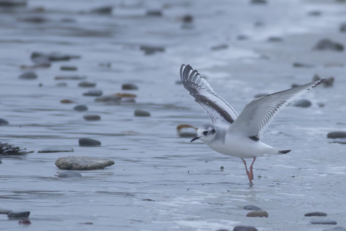 Maddy Hine tweet media