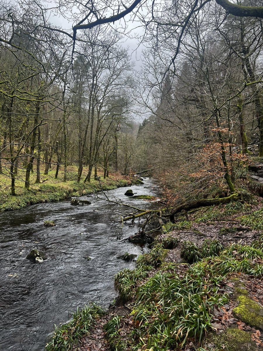 brendancormac's tweet photo. 20km around happy valley today https://t.co/nED5fEyMNM