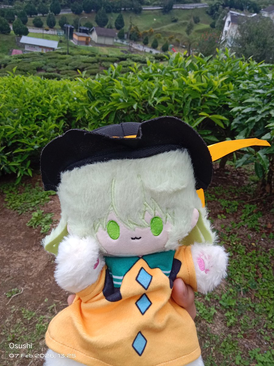 140SHARKY's tweet photo. こいしちゃんの初めてのお散歩！

#touhouproject #touhou #東方project #古明地こいし https://t.co/ymvQRZMMGW