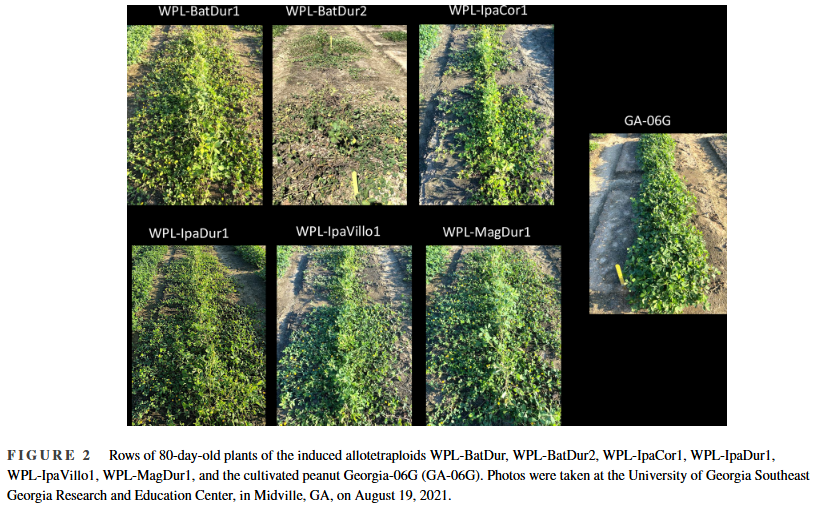 Plant Registrations tweet media