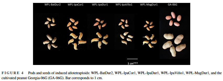 Plant Registrations tweet media
