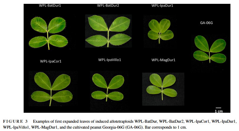 Plant Registrations tweet media