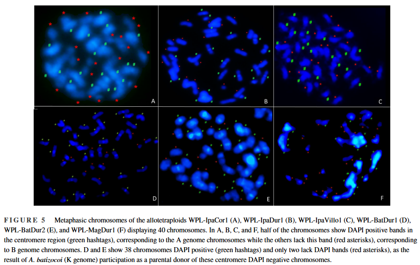 Plant Registrations tweet media