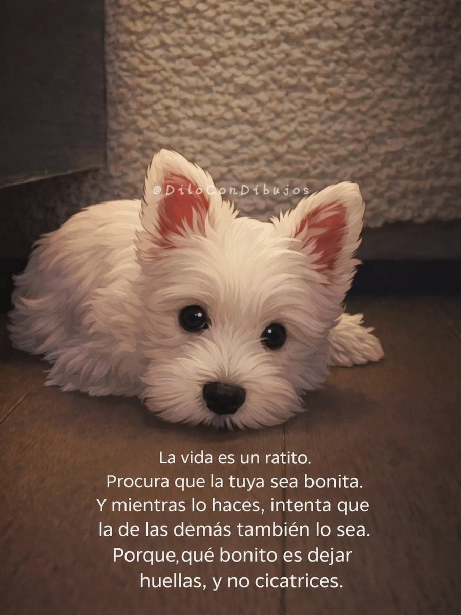 Bandidosfrases's tweet image. 