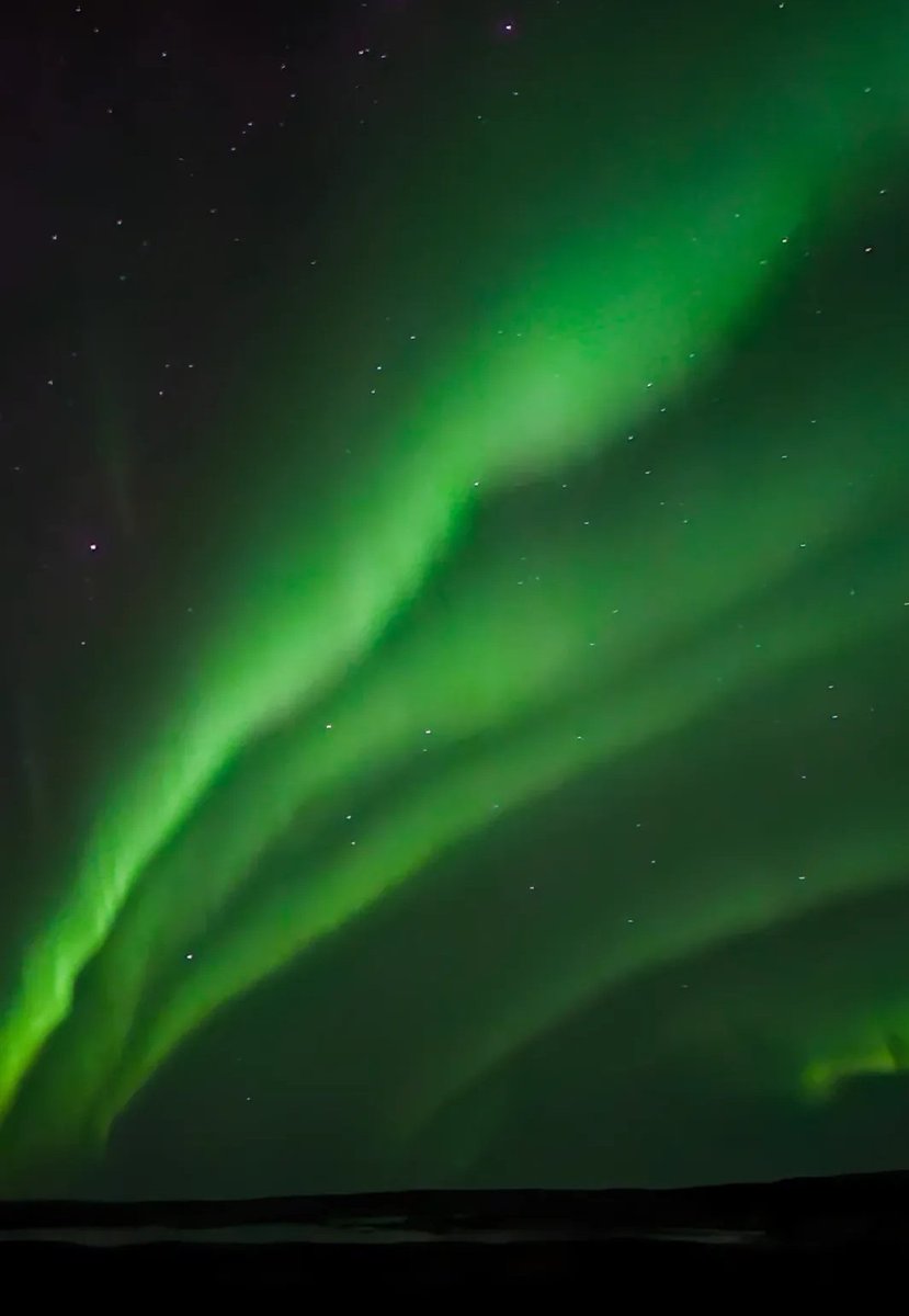 Ieri prima sera in Islanda e abbiamo visto l'aurora borealeeeeee