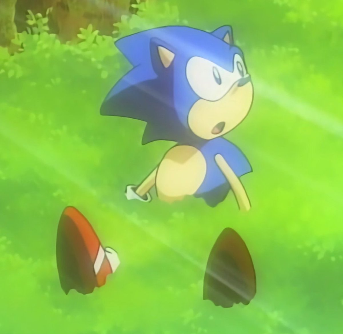 the vibes here are immaculate 🤍☁️🪴⋆🌱 ✨️