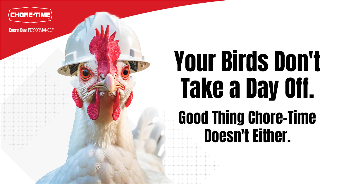 Chore-Time tweet media