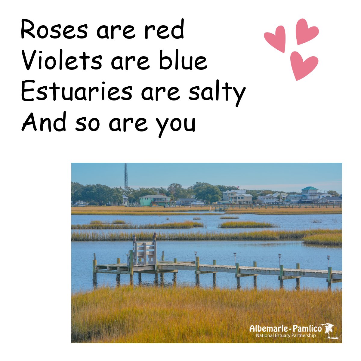 Albemarle-Pamlico NEP tweet media