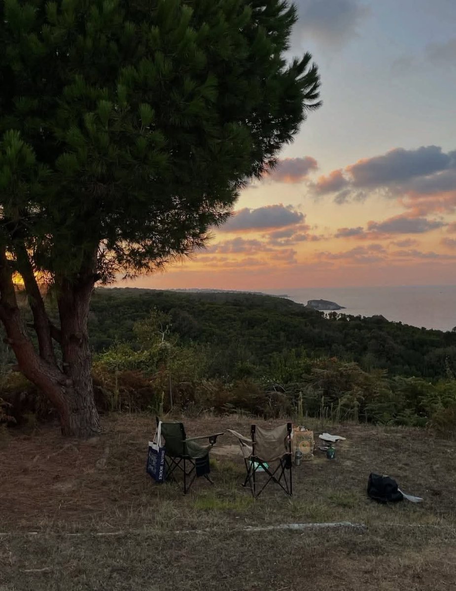 AyaElrahman311's tweet image. "كلما رقَّ القلب، اشتدَّت غُربته في الدُّنيا."
— الرافعي