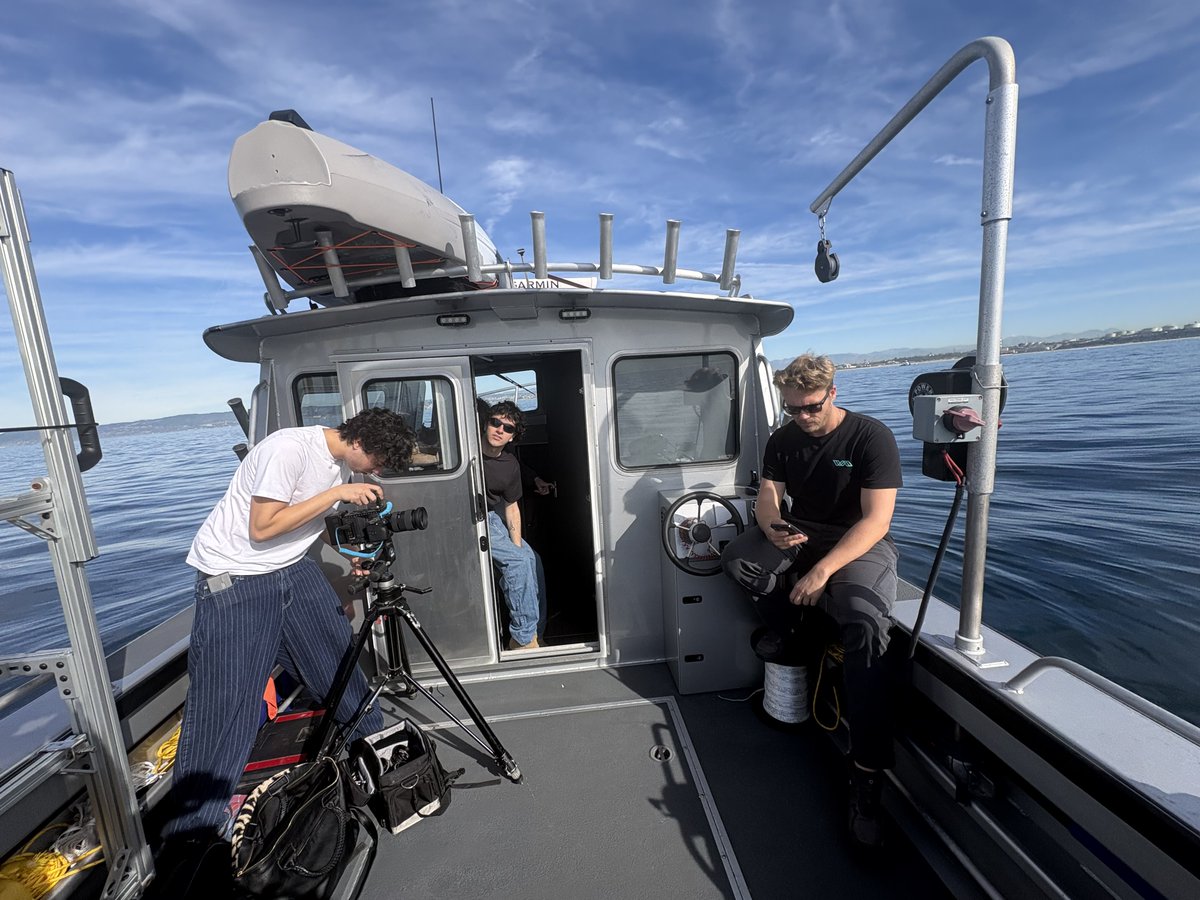 Jakob Diepenbrock tweet media