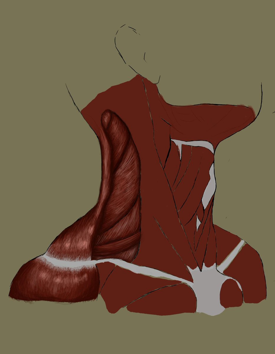 (・👅・)⎠💚✨
I want to join VGen... here's some of my work...
Pls send me a  #VGenCode ?