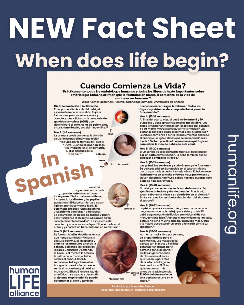 humanlife's tweet photo. Now available: the updated Spanish edition of
 “When Does Life Begin?” — ¿Cuándo comienza la vida?

A one-page fact sheet showing the stages of development in the womb.

Get a copy today by visiting: https://t.co/X2eJRSuC1e https://t.co/rebNnXz7db